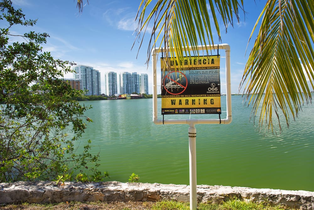 Mexico Insurance Coverage in Fresno, CA Gennock Insurance Agency